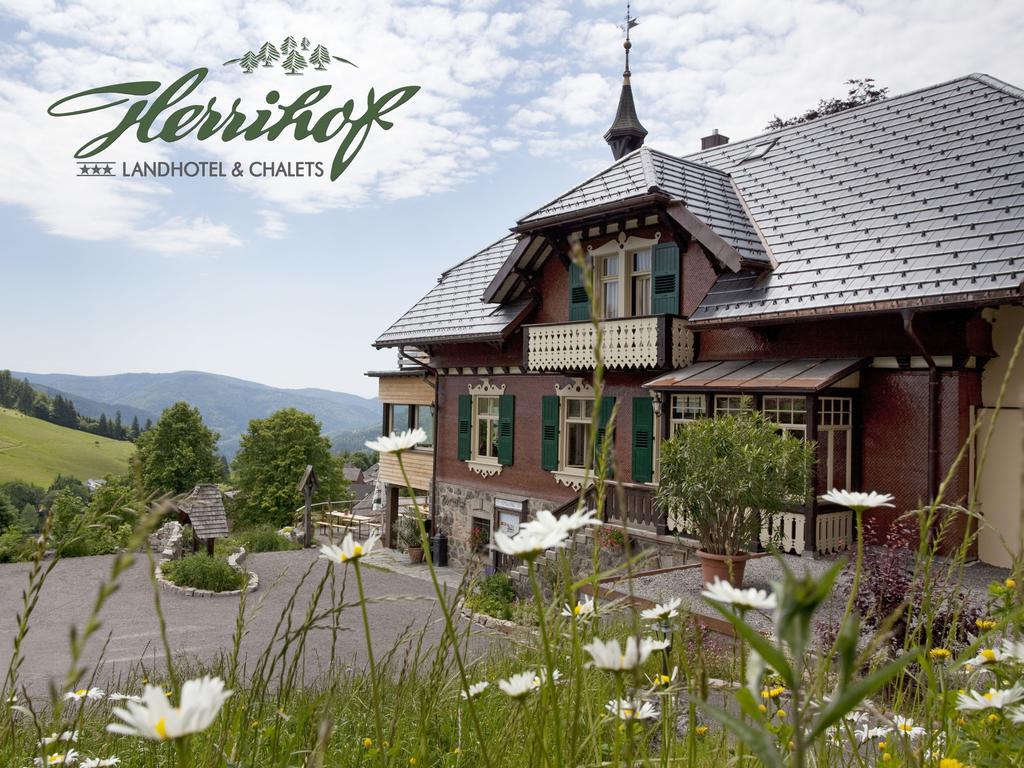 Hotel & Chalets Herrihof Todtnauberg Extérieur photo